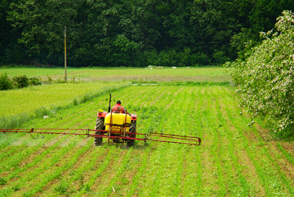 Bruselas retira su propuesta para regular el uso sostenible de productos fitosanitarios
