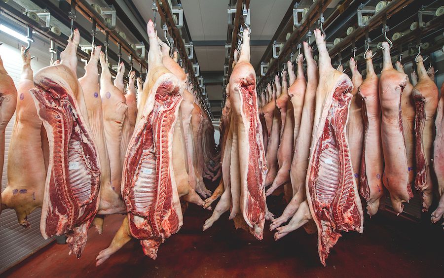 La Comisión Europea desvela claves para asegurar la sostenibilidad del sector de la carne de porcino