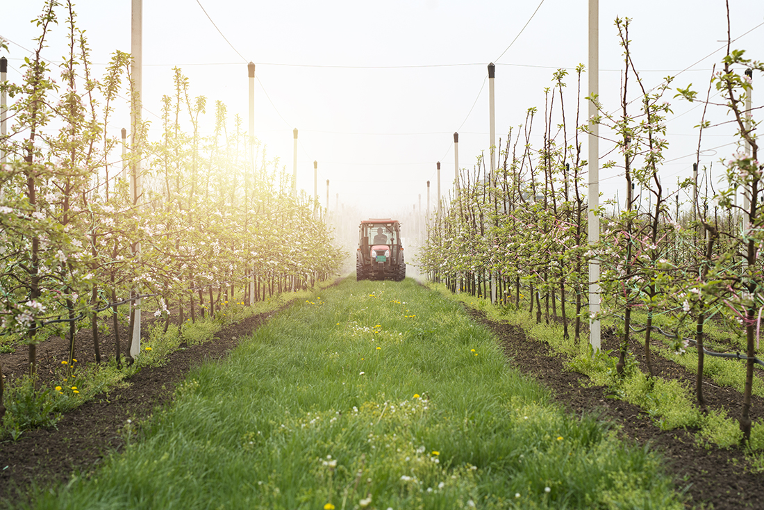 Nuevas regulaciones agrarias: cambios en el sector de frutas, hortalizas y vitivinicultura