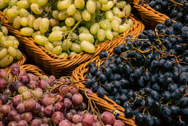 MAPA activa la medida de cosecha en verde para equilibrar mercado del vino en 2024